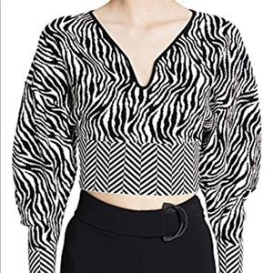 NWOT Zebra Sweater